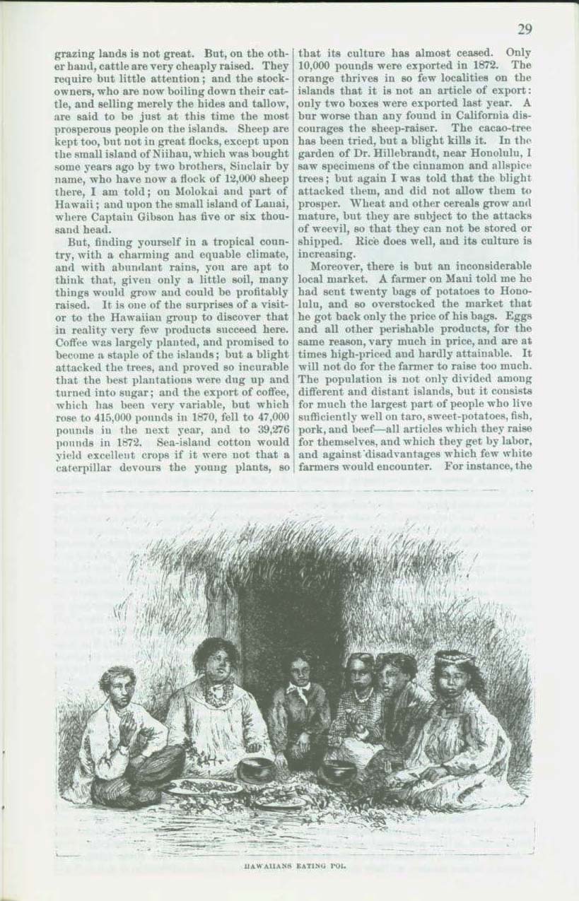 Hawaii-Nei, 1873. vist0030l